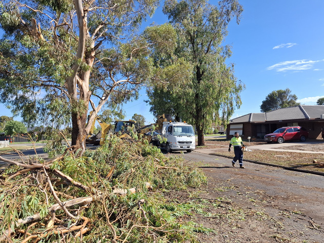 Cohuna survives storm damage