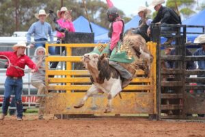 Saddle up, Murrabit Rodeo returns
