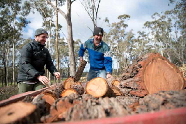 Firewood collection areas now open