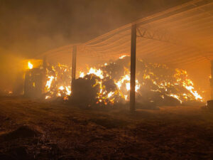 Reminder to monitor damp haystacks