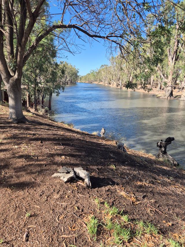 Soaking rain boosts spirits