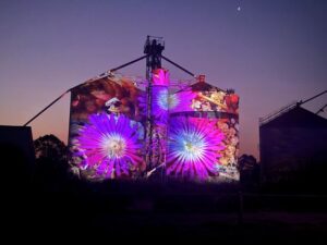 A new light shines on Sea Lake – exploring neighbouring shires