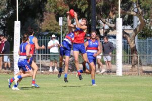 Lions make statement