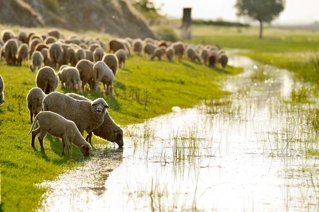 Flood of emotions from farmers