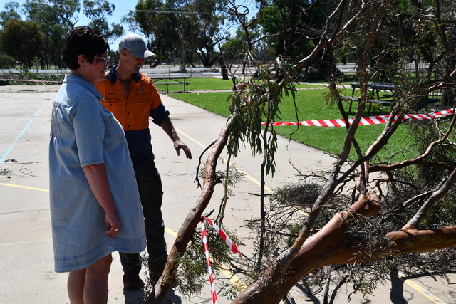 School spirit shines through storm