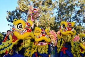 Luna Festival lights up