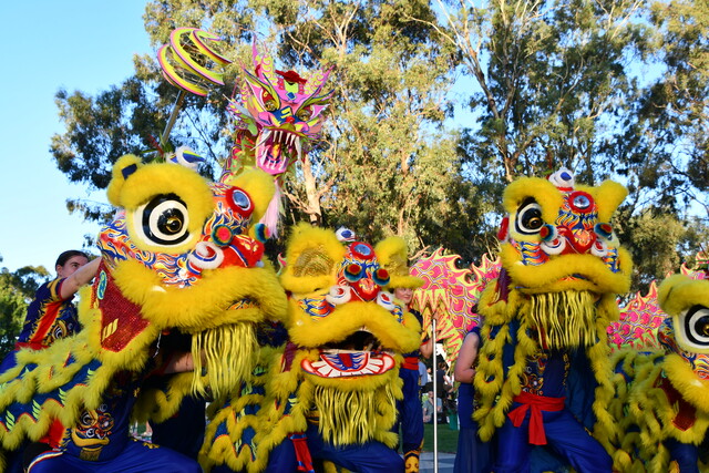 Luna Festival lights up