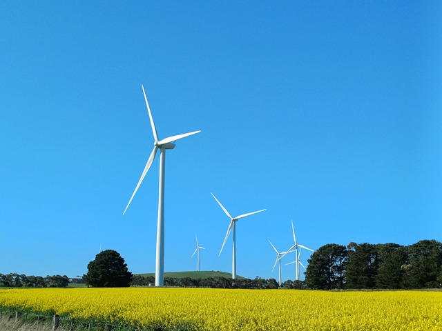 Wind turbine project open for comment