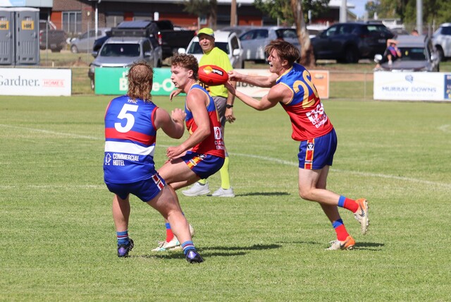 Lions look to make statement