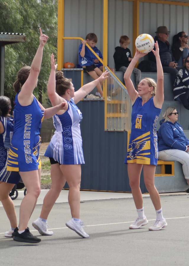 Eagles fly into Tigers clash