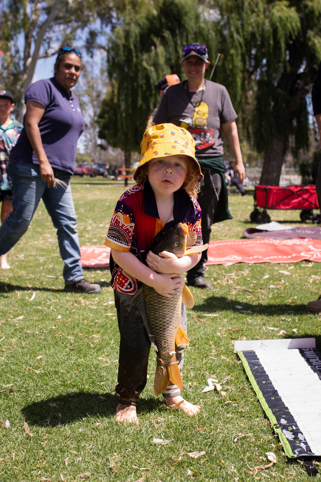 Chester backs carp virus release