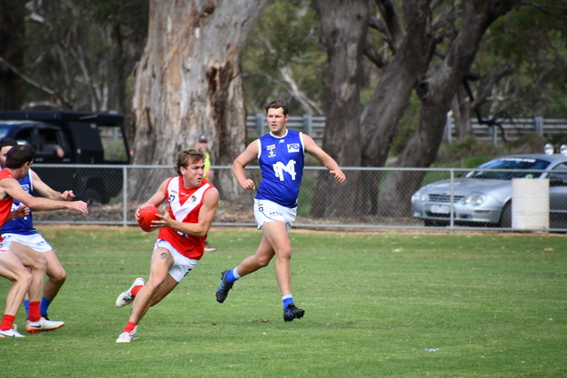 Swans soar past Blues
